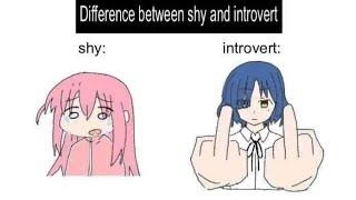 difference between shy and introvert...