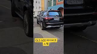 마이바흐 바운스 통통이 gls600 오프로드 탈출 기능 귀엽다#gls600 #마이바흐 #벤츠 #벤츠바운스 #gls바운스