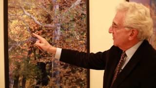 Magnificent Trees of The New York Botanical Garden