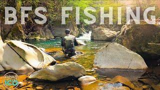 BAITFINESSE FISHING for WILD TROUT in a NEW PARADISIACAL SPOT! (4K)