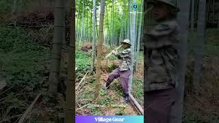 BAMBOO Chopping Champion! 🪓 That Axe Swing is SO Clean! #bambooforest #oddlysatisfying #skills