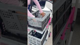 ️ Grocery Shopping For My Dogs #asmr #restock #groceryhaul #groceryshopping #shorts #viral