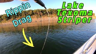 Fishing LAKE TEXOMA for big striper #striperfishing #laketexoma #bassinatorTech