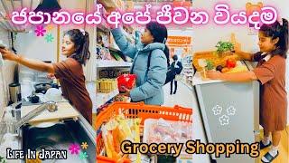 Living Cost In Japan|ජපානයේ අපේ ජීවන වියදම|Life In Japan|Japan Sinhala|Grocery Shopping