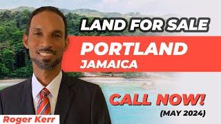 Land For Sale In Portland Jamaica