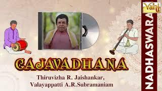 Gajavadhana – Nadaswaram | Jayashankar & Valayapatti | Navarasa Kanada - Adi |