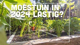 Moestuin 2024 lastig of niet? - Maxim's Moestuin #39