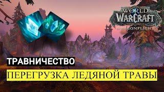 ПЕРЕГРУЗКА ЛЕДЯНОЙ ТРАВЫ | ТРАВНИЧЕСТВО | World of Warcraft Dragonflight