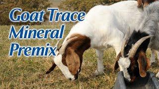 Goat Trace Mineral