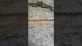 Original lime mortar pointing with original ruling lines 