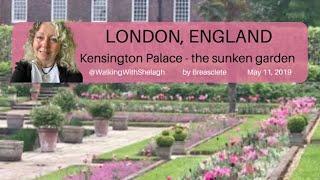 #tulips and more spring blossoms in the sunken garden at #kensingtonpalace in #London #england