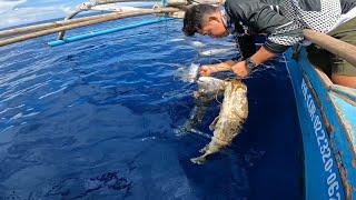 SPOT NG GIANT TREVALLY | sunod-sunod ang huli | LONGLINE FISHING catch, cook and sell