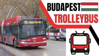 The Somewhat Hidden Trolleybus System of Budapest | Budapesti Trolibusz  | Urban Transport #30