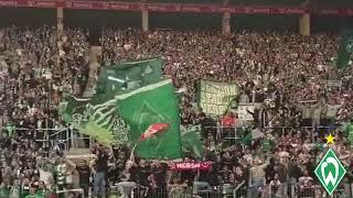 Werder Bremen Fans beim Spiel in Mainz I 15.09.2024