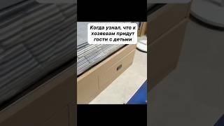 Умный кот  #shortvideo#смешныевидео#шортсы#шортс#шорты#трендытикток#коты