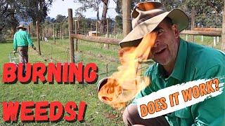 Burning Weeds: Weldclass Blow Torch Farm Review