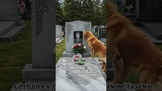 #молитва,#православие,#Русская Православная Церковь,#Утренняя молитва,#Бог,#господь,#Правильнаявера