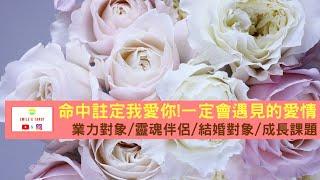 【Smile微笑塔羅】感情占卜命中註定我愛你:今生你一定會遇見的愛情?(業力對象/靈魂伴侶/結婚對象/成長課題)timeless