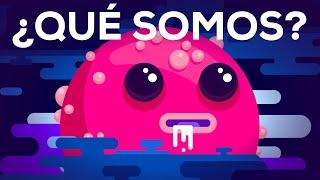 ¿Qué somos?