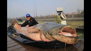 Vertikal Fischen Teil 2 / Taktik / Echolot-Einstellung /  Big One