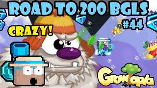 TONS BGLS PROFIT ON WINTERFEST!! ️ | Road To 200 BGLS #44 | GrowTopia Profit 2024