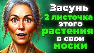 Ноги 100% ПЕРЕСТАНУТ болеть и уставать! Просто ПОЛОЖИТЕ в носки 2 листа...