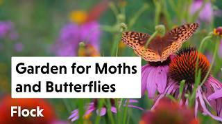 10 Tips to Attract BUTTERFLIES & MOTHS to Your Garden — Ep. 270