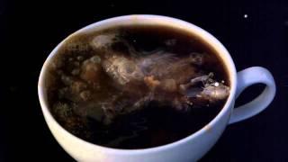 Coffee Creamer high speed video 2000fps 30fps playback.avi