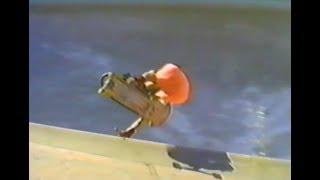 Don Hamilton Green Thumb Pool 1989 w/ Tony Alva.