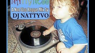 DJ Nattyvo - Nattyness [MixTape]