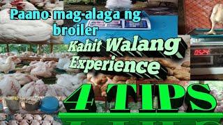 Paano mag alaga ng 45 days chicken broiler | Basic knowledge | 4 tips | Bantres ni A-yie