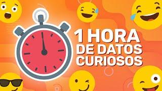 1 HORA SIN PAUSAS DE DATOS CURIOSOS! (XpressTV)