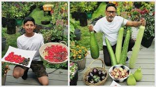 Our Biggest Garden Harvest - Gardening Inspiration For New Gardeners