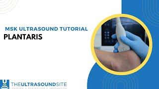 Musculoskeletal ultrasound tutorial  - Plantaris