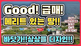 ( 급 매매 ! ) 바닷가 주택 부지 바닷가 농막 토지 바닷가 매물 바닷가토지 급매 바닷가땅 급매 바닷가토지 매매 바닷가 집터 바닷가 땅 매매 바닷가토지 매물 - 포항 부동산TV