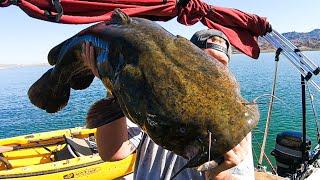 Lake Havasu Fishing for BIG Catfish