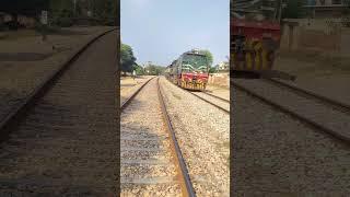 Train vs Serrano Pepper #challenge #railroad #railway #train #railwayline #railwaytrack #pepper