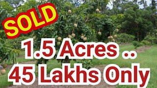 1.5 acres of mango farm land for sale in Karnataka (Lakshmipuram Cross)#realestate #farmlandsforsale