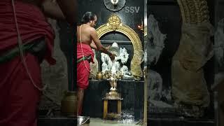 Sankatahara Chaturthi Special Abhishekam and Aarthi Lord Vinayagar  #youtubeshorts #chaturthi