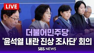 더불어민주당 '윤석열 내란 진상조사단' 회의 / SBS