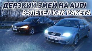 Дерзкий ЗМЕЙ на Audi взлетел как ракета. ЛЮТЫЙ РЕВАНШ - это уже не шутки!