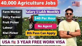 Usa  3 Year Free Work Visa Just In 30 days | jobs in usa | Apply Now