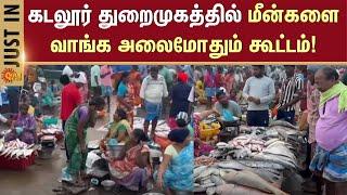 Cuddalore Port | Fish Market | Today Fish Rate | Heavy Crowd | Sun News