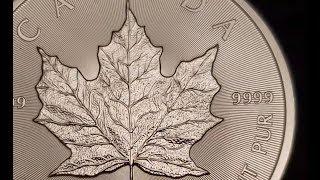 2019 Silver Maple Leaf Review | 4K