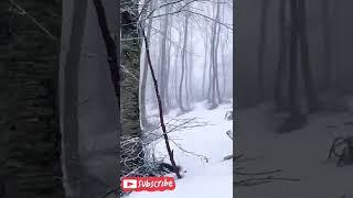 (أساطير الجن) قصص جن. شترك بالقناة اذا عجبتك