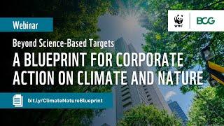 Beyond Science-Based Targets: A Blueprint for Corporate Action on Climate and Nature