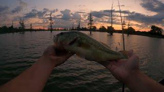 Bass Fishing Mallard Lake, Arkansas