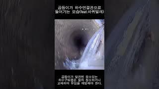 하수도의 꼽등이가 실내로 들어오는 영상 #하수도#바퀴벌레#나방파리#하수구