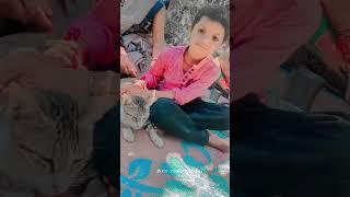 Rajesh kushwaha #youtube 2158438843.1381651.5461352'-#+;:#((&#)(+$:!$);"?;:$(":#:+*:#($9#;#;_______?