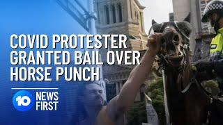 COVID Rioter On Bail After Allegedly Punching Horse | 10 News First